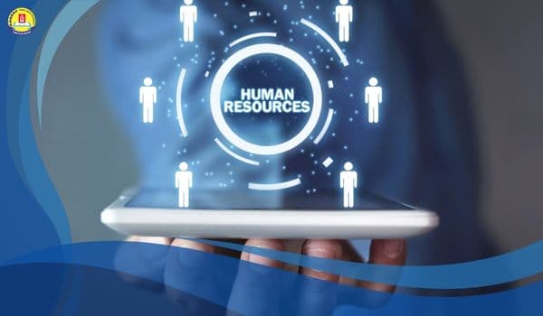 Featured image for: Quản Trị Nguồn Nhân Lực: Học Gì, Lương Bao Nhiêu & Cơ Hội 2025